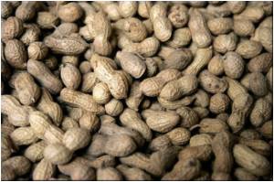 Peanut Allergy Cure Uk in France