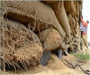 UN Warns Against Food Waste on World Food Day UN Warns Against Food Waste on World Food Day