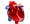 The human heart creates enough pressure when it pumps blood, that it could squirt blood 30 feet.                                                                                                                                                                                                                                                                                                                                                                                                                                                                                                                                                                                                                                                                                                                                                                                                                                                                                                                                        
