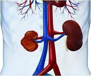 Anabolic Steroids Effects On Kidneys