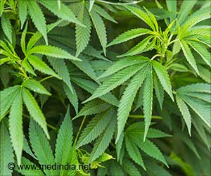 Cannabis Usage Increases Heart Attack Risk Among Youngsters