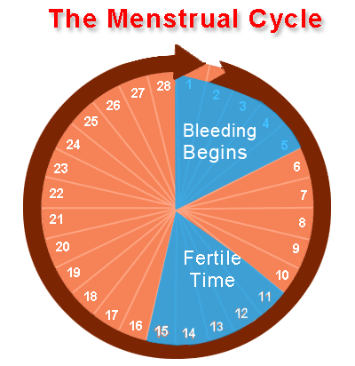 Menstrual Cycle Tracker