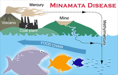 Ten things to know about minamata disease