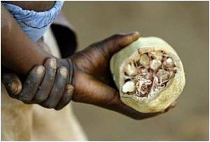 Eating Dirt Protects Stomach Against Toxins Eating Dirt Protects Stomach Against Toxins