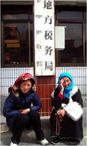 Nearly 20,000 Chinese Language Schools Worldwide: Chinese Official