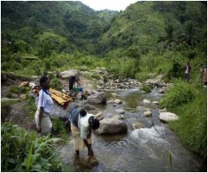  Greater Genetic Diversity Key To Crop Survival Amid Global Warming