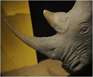 Stem Cells from Endangered Species