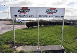 E.Coli Scare: Food Watchdog Advises Against Raw Sprouted Seeds E.Coli Scare: Food Watchdog Advises Against Raw Sprouted Seeds