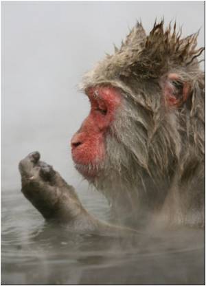 Levels of Radioactive Cesium Found to be High Pacific Waters Under Fukushima Plant Levels of Radioactive Cesium Found to be High Pacific Waters Under Fukushima Plant