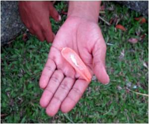  Rally To Mark International Day Against Drugs Abuse Held In Delhi