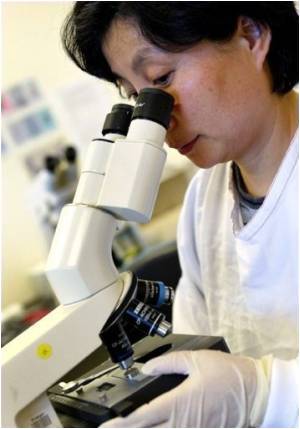 Study Identifies Novel Pathway to Fight Retinal Disease, Cancer Study Identifies Novel Pathway to Fight Retinal Disease, Cancer