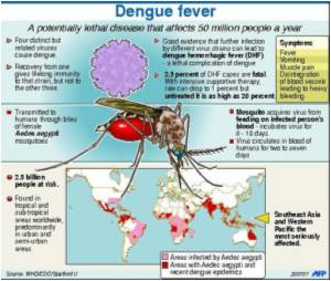 Pakistan`s Punjab Province CM Seeks Help From India To Tackle Dengue Pakistan`s Punjab Province CM Seeks Help From India To Tackle Dengue