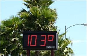  Study: Heatwave Decimates Marine Species Habitat