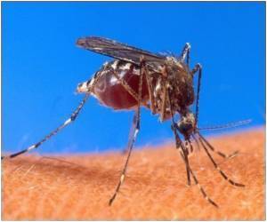 Dengue and Chikungunya: The Dirge of a Nation