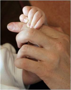 Babies' Sense of Smell Formed by Mothers' Diets During Pregnancy Babies' Sense of Smell Formed by Mothers' Diets During Pregnancy