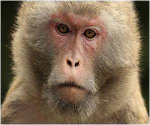 To Ape or Not To Ape? Bridging Missing Links in Medical Research