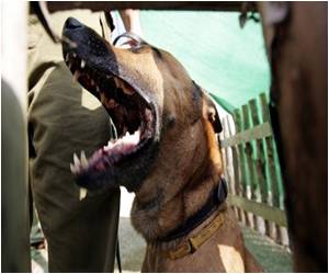 Thirty-nine Animals Infected With Rabies in Taiwan