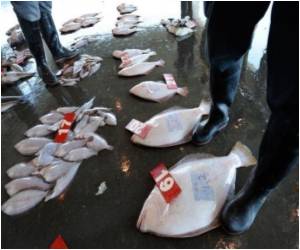 China`s Corruption Crackdown Affects Seafood Market in Hong Kong China`s Corruption Crackdown Affects Seafood Market in Hong Kong