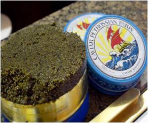 Caviar in Desert Sands: UAE to Cultivate Sturgeon for the Expensive Dish Caviar in Desert Sands: UAE to Cultivate Sturgeon for the Expensive Dish