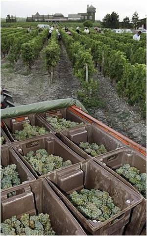 Study Says Most New Pesticides Have Roots in Natural Substances Study Says Most New Pesticides Have Roots in Natural Substances