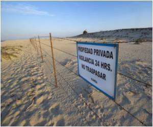 Mexican Marine Reserve Is World's Most Robust Wildlife Park Mexican Marine Reserve Is World's Most Robust Wildlife Park