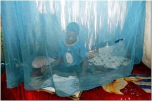 Yellow Fever Outbreak Africa's Worst in Decades: WHO Yellow Fever Outbreak Africa's Worst in Decades: WHO