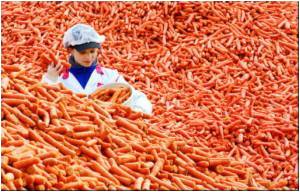 Dr.Manmohan Singh to Evaluate NAC Recommendations on Food Security Issues Dr.Manmohan Singh to Evaluate NAC Recommendations on Food Security Issues