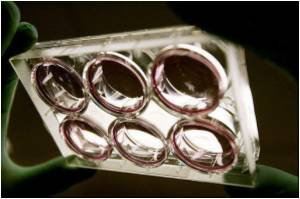 Early Intervention And Treatment Immensely Benefits Muscular Dystrophy Early Intervention And Treatment Immensely Benefits Muscular Dystrophy