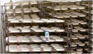  Chandipura Virus Claims 17 Lives in Gujarat