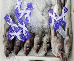 Youth in Scotland Push for Independence Via Sunday Lunch Plans Youth in Scotland Push for Independence Via Sunday Lunch Plans