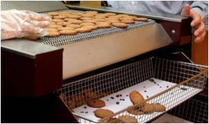  Revolutionary Fryer is All Hot Air - And Zero Oil!