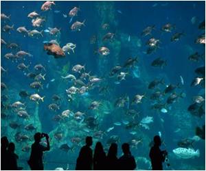 Scientists Grow Salt Marsh Plants in Microcosms Scientists Grow Salt Marsh Plants in Microcosms