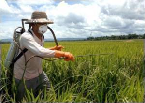  Chemicals Can Cause Cancer: Health Experts