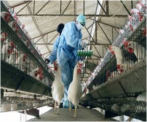 New Case of H7N9 Bird Flu Confirmed in China New Case of H7N9 Bird Flu Confirmed in China