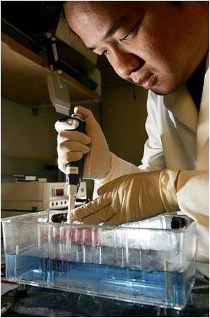  Artificial Pancreas Improves Blood Sugar Control