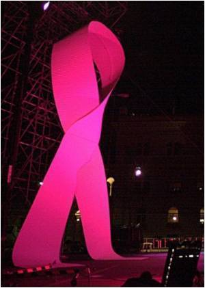  Increased Risk of Heart Disease in Postmenopausal Women With Breast Cancer Taking Aromatase Inhibitors