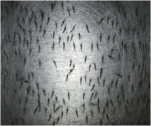  Japan: First Dengue Fever Infections in 70 Years