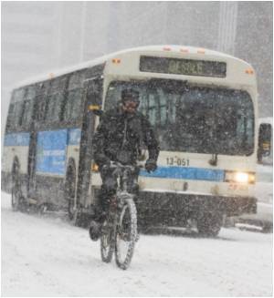  Birdsong - Music That Frees You From Winter Blues