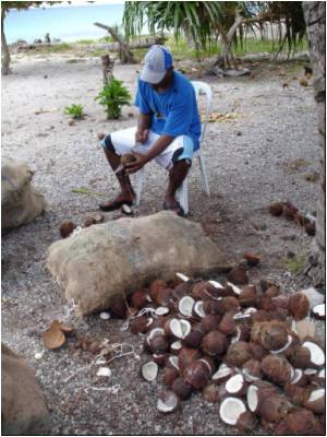 Coconut Oil Could Combat Tooth Decay: Study