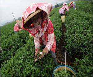 Scientists Pioneer Method to Predict Environmental Collapse Scientists Pioneer Method to Predict Environmental Collapse