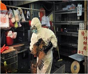 Bird Flu Kills a Cambodian Boy: WHO Bird Flu Kills a Cambodian Boy: WHO