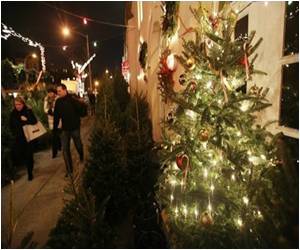 Scientists to Clone the Perfect Christmas Tree Scientists to Clone the Perfect Christmas Tree
