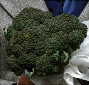  Superfood Broccoli Help Ward Off Bowel Cancer