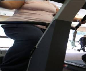  Fat Cells and Their Response to Mechanical Stress