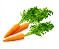 Beauty Tips Glossary - Carrots