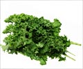 Beauty Tips Glossary - Kale