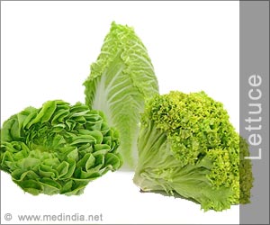 Lettuce - The Phallic Symbol and a Favorite of the Egyptian God of ...