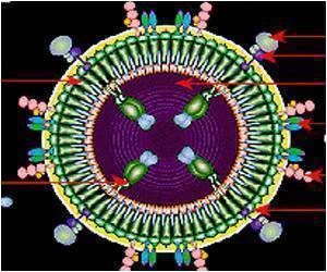  Hijacking Of Enzymes By HIV Explained