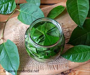 Japanese Knotweed Extract Could Cut Cancer Risk of Processed Meat: Study
