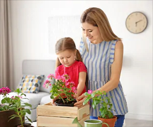 Top 10 Health Benefits of Indoor Plants